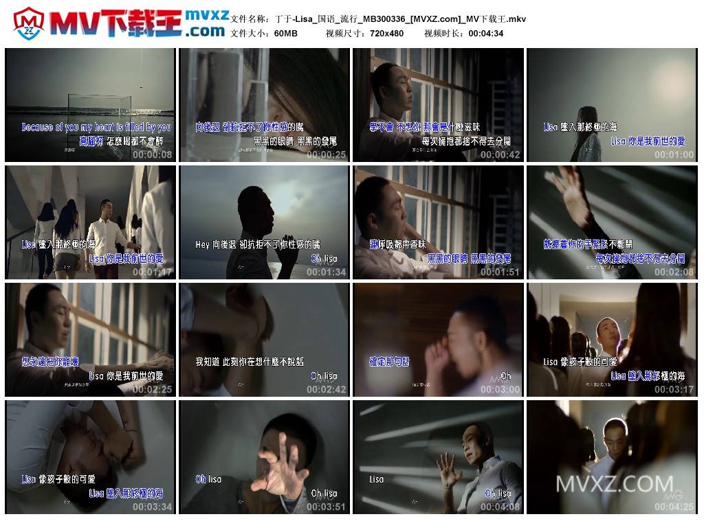 丁于-Lisa_国语_流行_MB300336